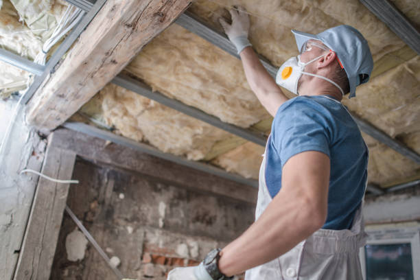 Best Energy Efficiency Insulation in White Castle, LA