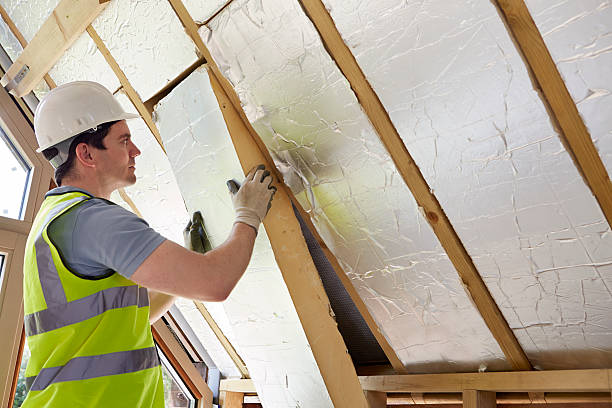 Professional Insulation Contractor in White Castle, LA