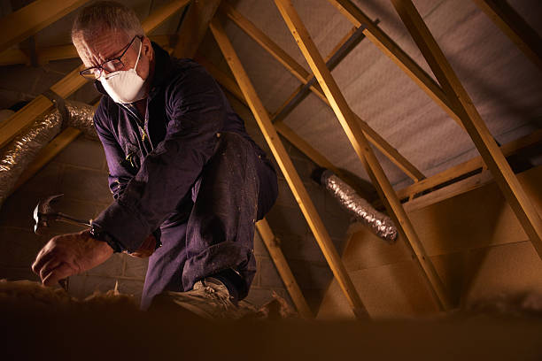 Best Spray Foam Insulation in White Castle, LA